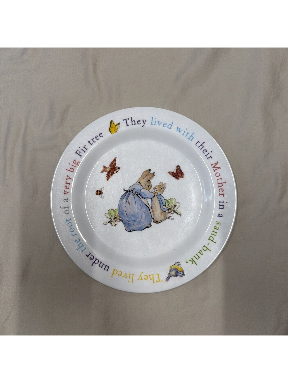 The World Of Beatrix Potter Peter Rabbit Child’s Plate 9 Inches
